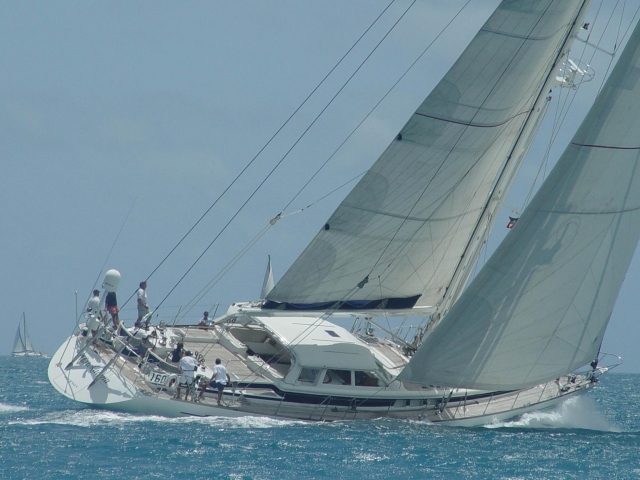  这些有趣的帆船赛中的各种帆船